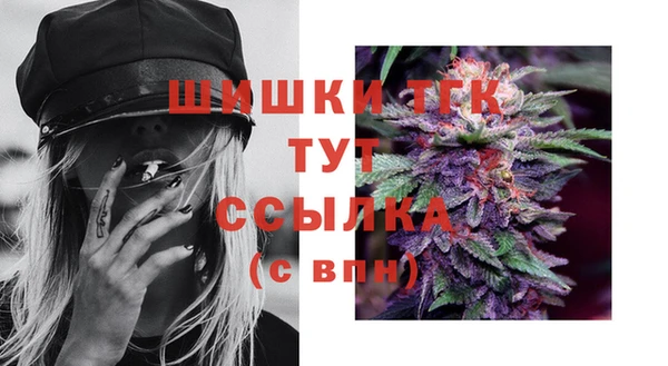 метадон Новодвинск
