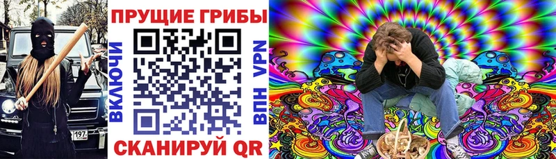Псилоцибиновые грибы GOLDEN TEACHER  наркота  Хилок 